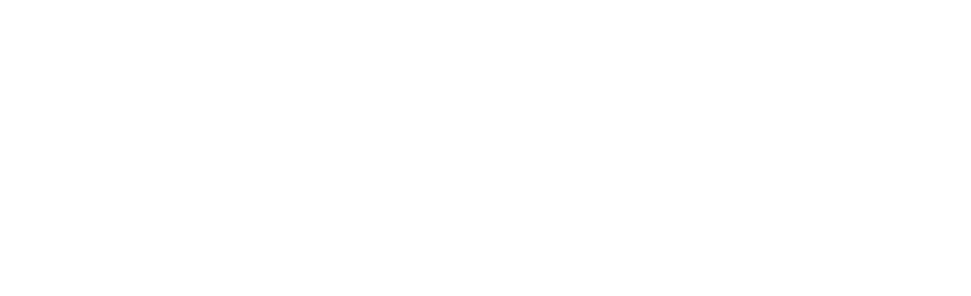 Logo Babolat